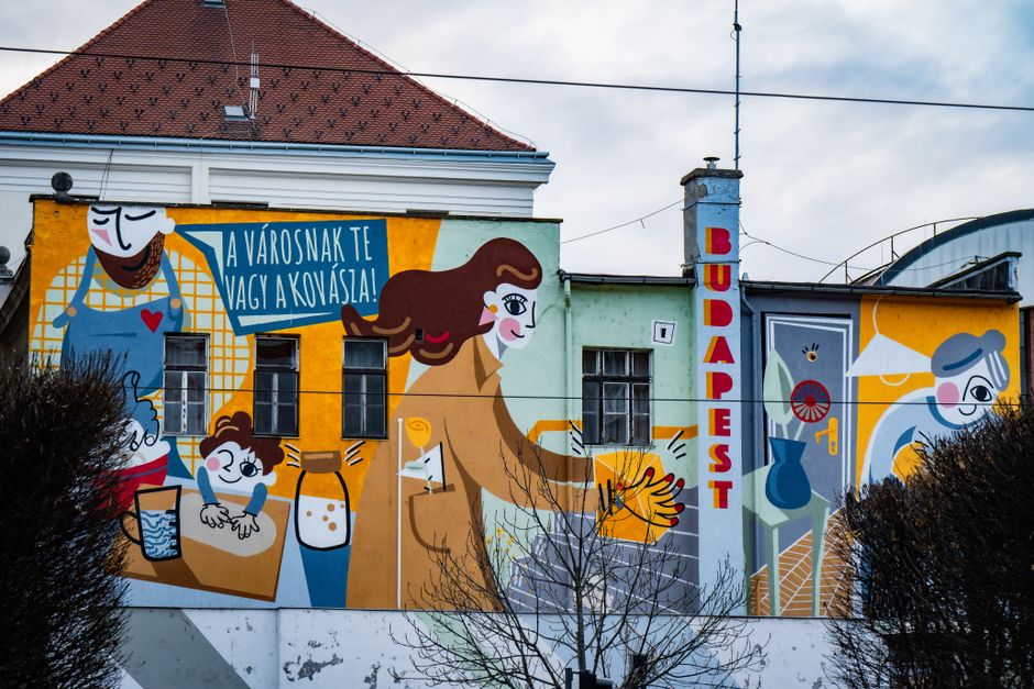 Budai Müzli borító